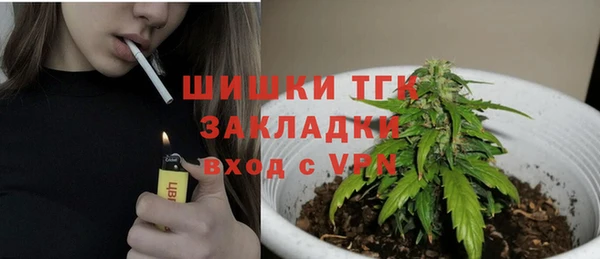 амф Новокубанск