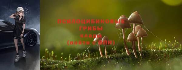ПСИЛОЦИБИНОВЫЕ ГРИБЫ Алзамай