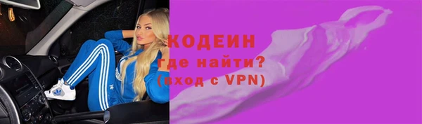 МДПВ Пересвет