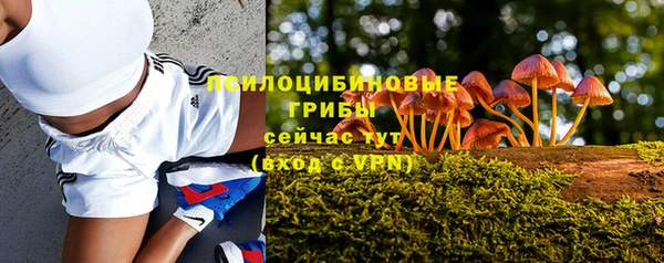 первитин Покачи