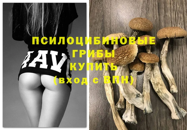 ПСИЛОЦИБИНОВЫЕ ГРИБЫ Алзамай