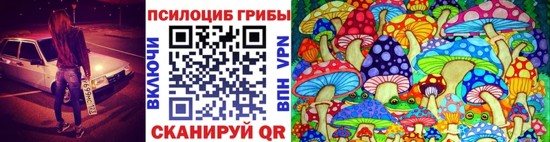 блэк спрут ONION Кинель Галлюциногенные грибы Magic Shrooms где можно купить наркотик