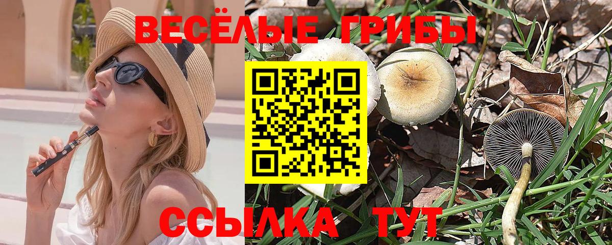 Галлюциногенные грибы прущие грибы Кинель